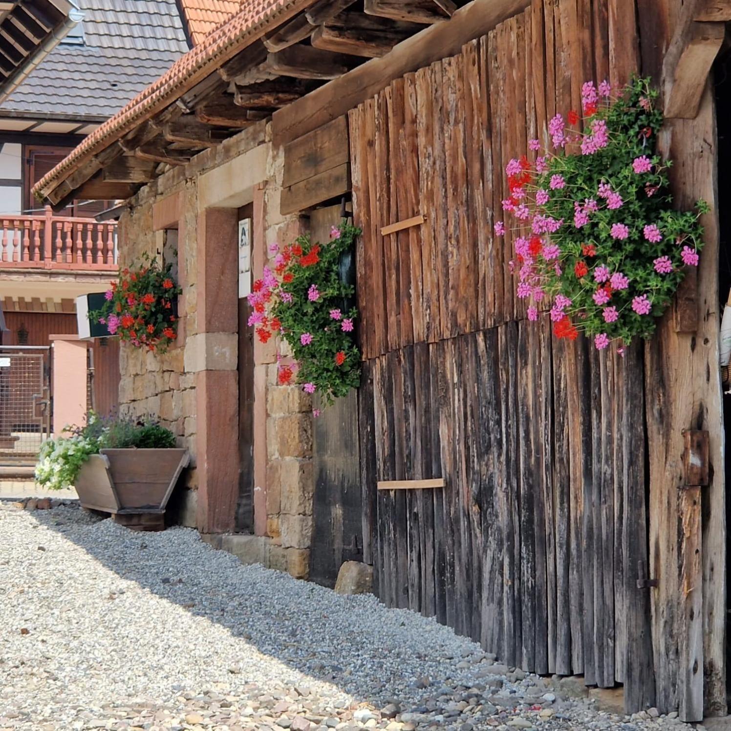 Chambres D'Hotes Chez Linda Stephane Le Passe Compose Preuschdorf Ngoại thất bức ảnh